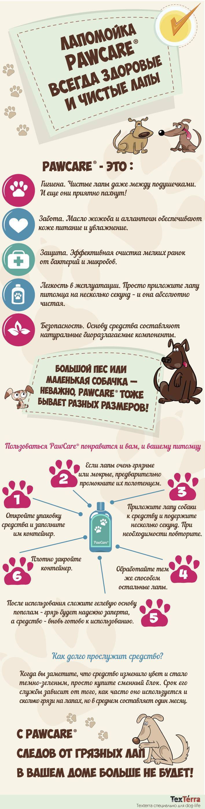 PawCare®: Care About Cleanliness and Health of Your Dog's Paws